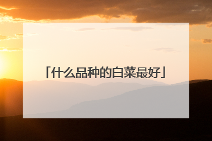什么品种的白菜最好