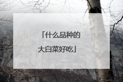什么品种的大白菜好吃