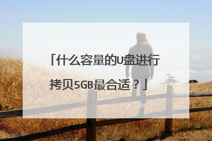 什么容量的U盘进行拷贝5GB最合适？