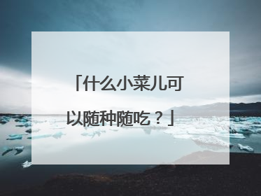 什么小菜儿可以随种随吃?