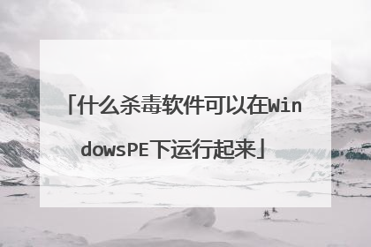 什么杀毒软件可以在WindowsPE下运行起来