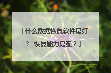 什么数据恢复软件最好? 恢复能力最强?