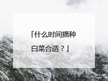什么时间播种白菜合适?