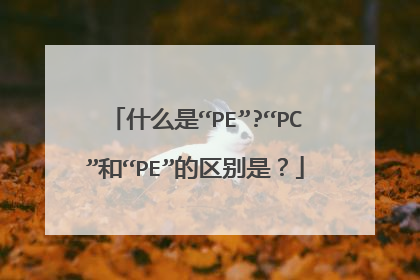 什么是“PE”?“PC”和“PE”的区别是？