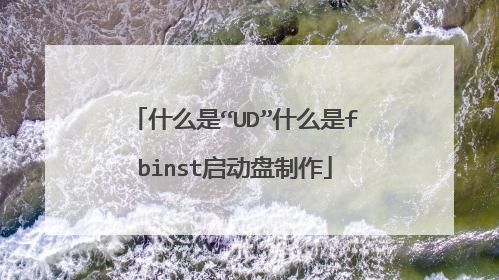 什么是“UD”什么是fbinst启动盘制作