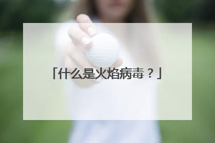 什么是火焰病毒?