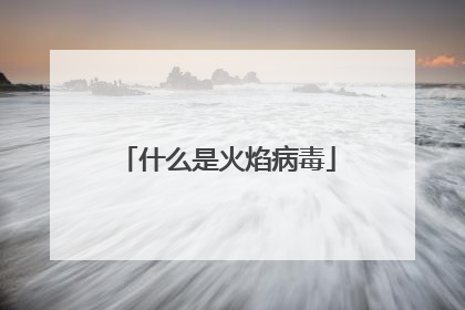 什么是火焰病毒