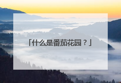 什么是番茄花园?
