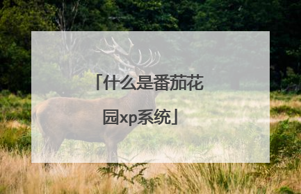 什么是番茄花园xp系统