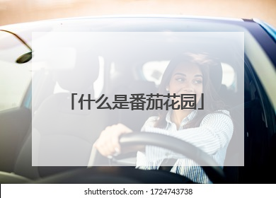 什么是番茄花园