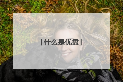 什么是优盘