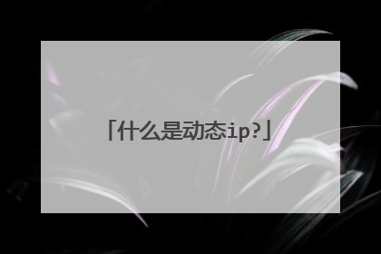 什么是动态ip?