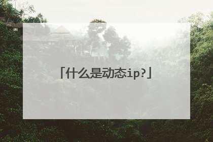 什么是动态ip?