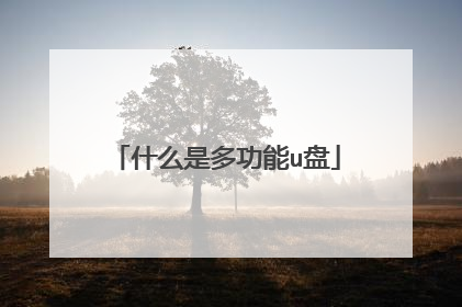 什么是多功能u盘
