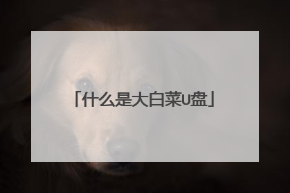 什么是大白菜U盘