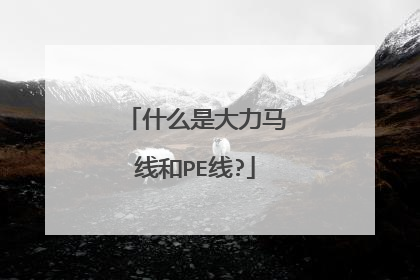 什么是大力马线和PE线?