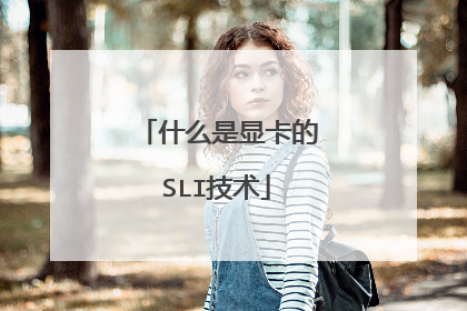 什么是显卡的SLI技术