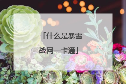 什么是暴雪战网一卡通