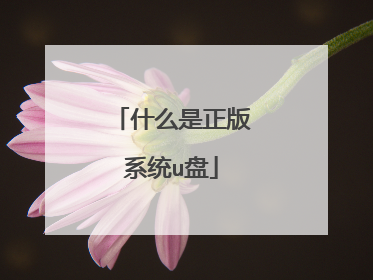 什么是正版系统u盘