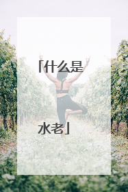 什么是水老