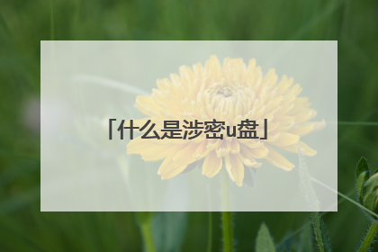 什么是涉密u盘