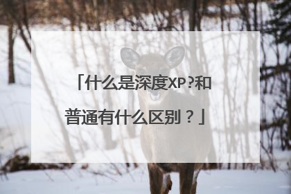 什么是深度XP?和普通有什么区别?