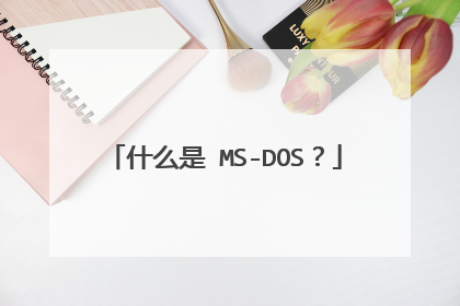 什么是 MS-DOS?