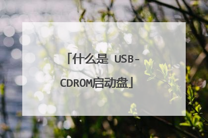 什么是 USB-CDROM启动盘
