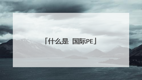 什么是 国际PE