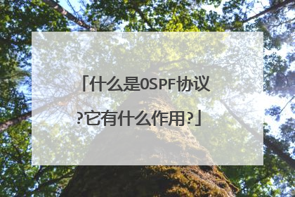 什么是OSPF协议?它有什么作用?