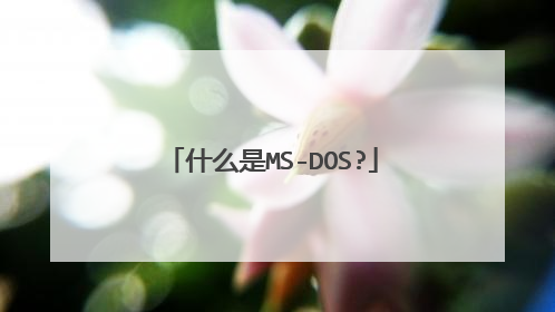 什么是MS-DOS?