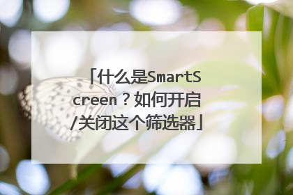 什么是SmartScreen?如何开启/关闭这个筛选器