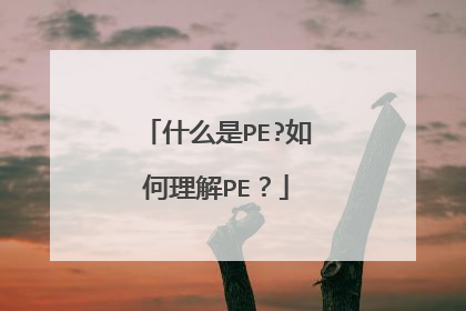 什么是PE?如何理解PE?