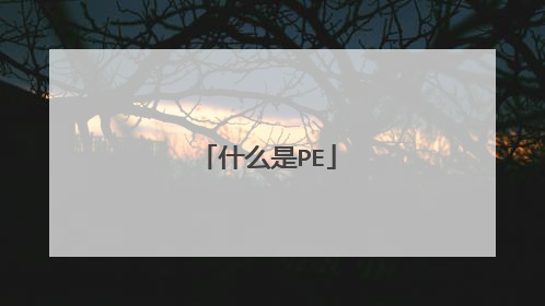 什么是PE