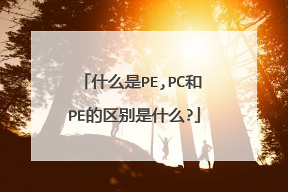 什么是PE,PC和PE的区别是什么?