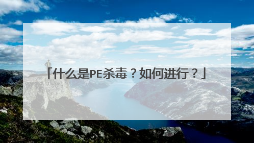 什么是PE杀毒？如何进行？