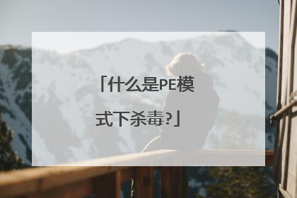 什么是PE模式下杀毒?