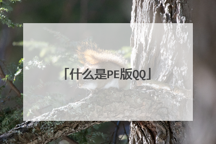 什么是PE版QQ
