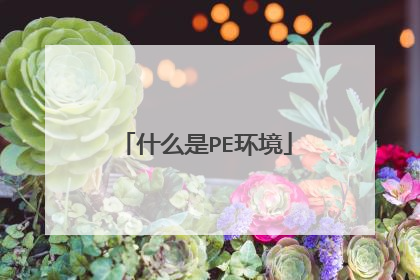 什么是PE环境