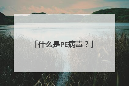 什么是PE病毒？