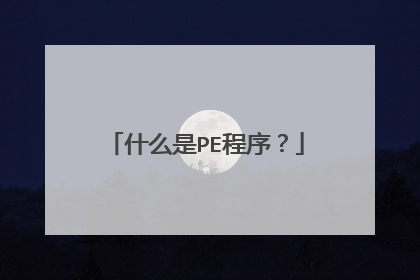 什么是PE程序?