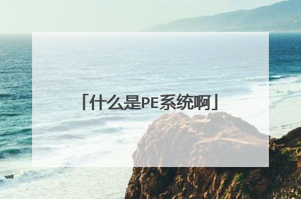 什么是PE系统啊