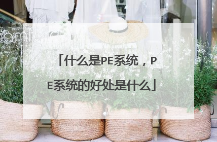 什么是PE系统,PE系统的好处是什么