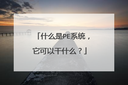 什么是PE系统，它可以干什么？