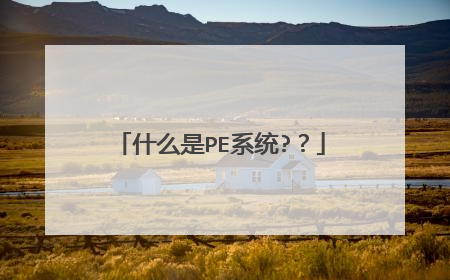 什么是PE系统??