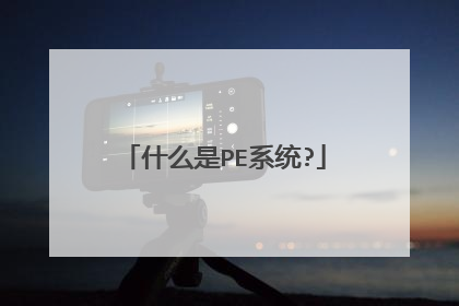 什么是PE系统?