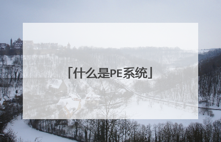 什么是PE系统