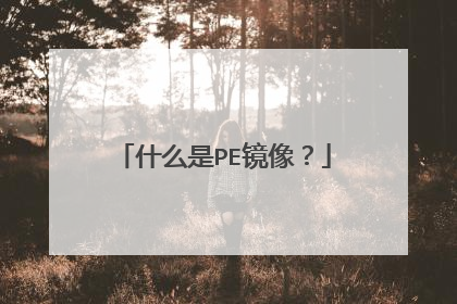 什么是PE镜像?