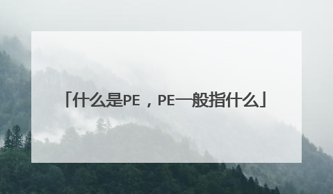 什么是PE,PE一般指什么