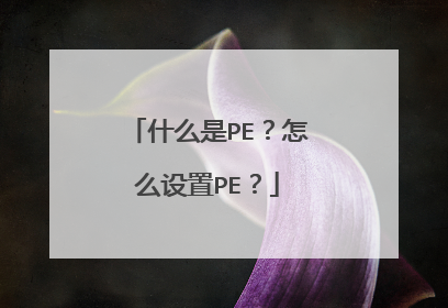 什么是PE?怎么设置PE?